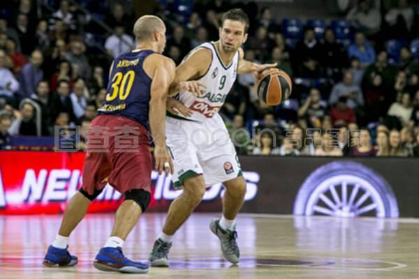 樊振东收获“留洋”首冠 加冕MVP