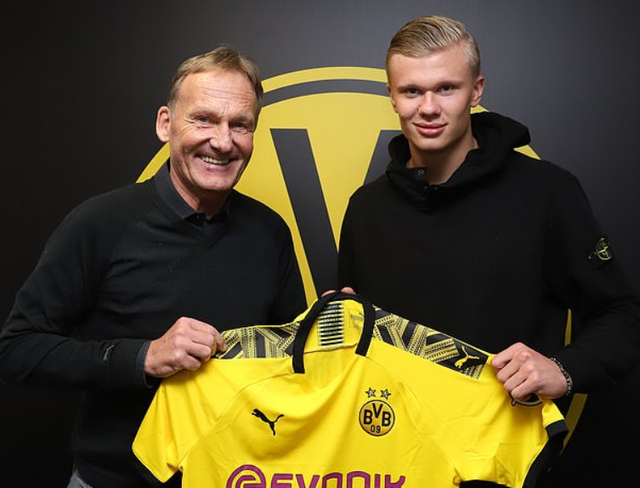 2018 新人争锋：大谷翔平在新人王投票中击败洋基队的安杜哈尔